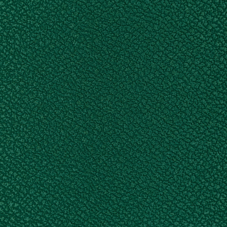 Penn Elcom Tvrda PVC folija 126x0.3cm, mint zelena RAL 6029